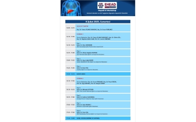 EHEAD Workshop - Güncel Literatür ve SUT Işığında Olgularla Hepatit B Yönetimi, 08 Şubat 2025